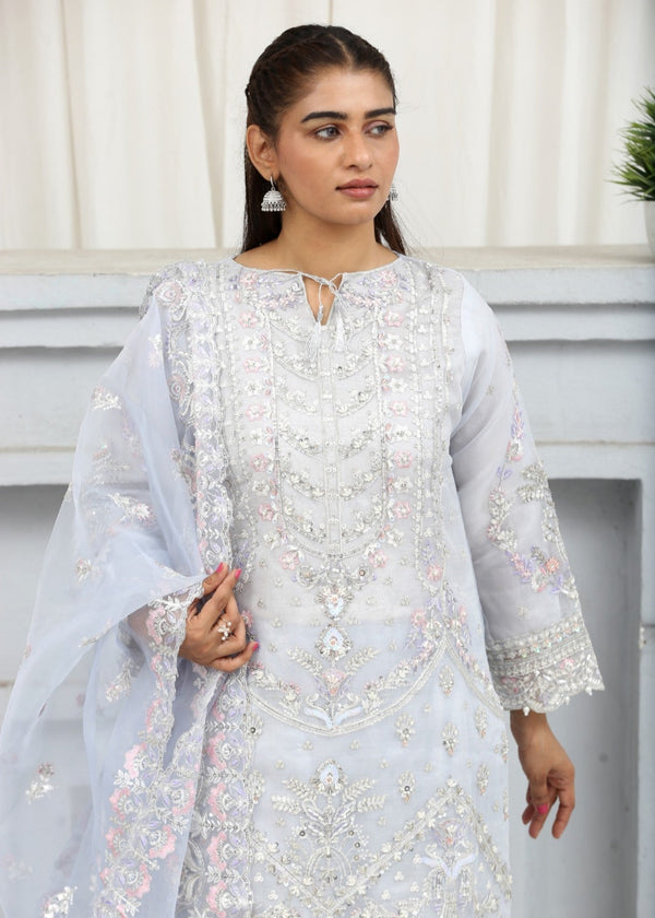 3 Piece Stitched Ladies Dress