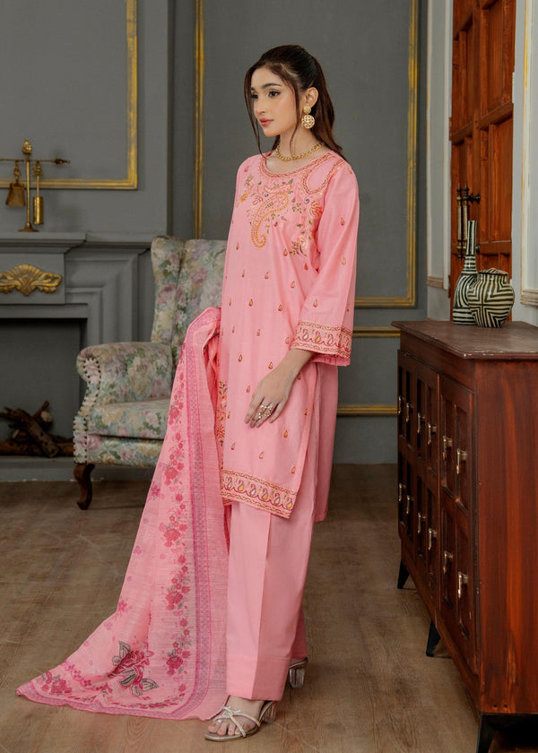 3 Piece Stitched Ladies Dress