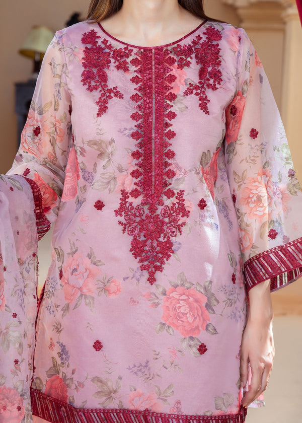 3 Piece Stitched Ladies Dress