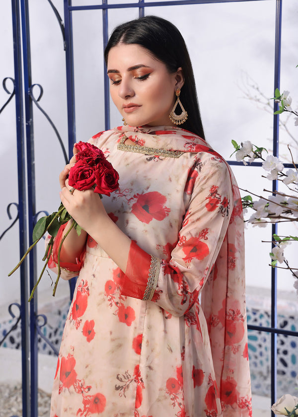 3 Piece Stitched Ladies Dress
