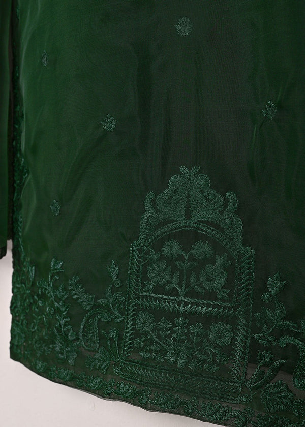 3 Piece Stitched Ladies Dress