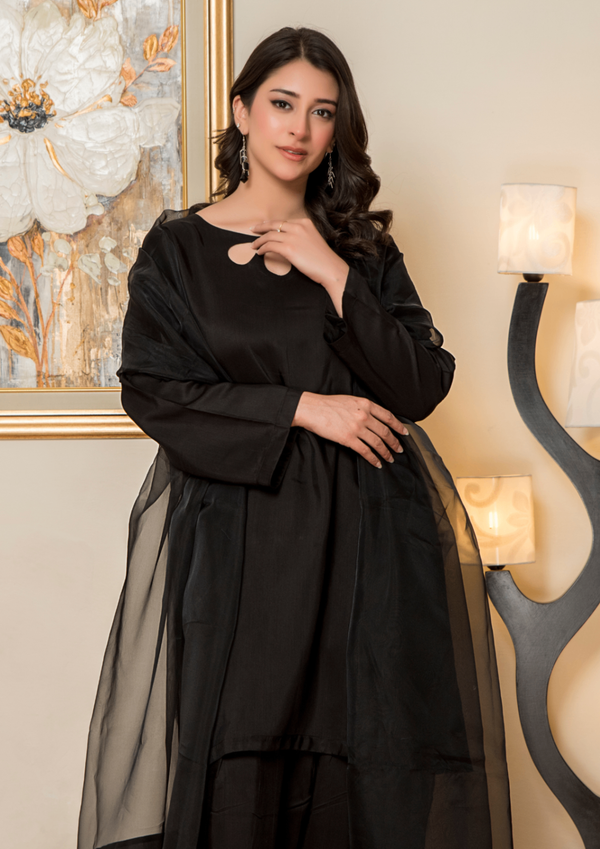 3 Piece Stitched Ladies Dress