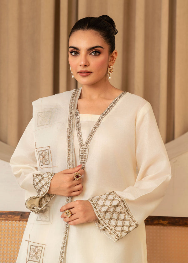 3 Piece Stitched Ladies Dress
