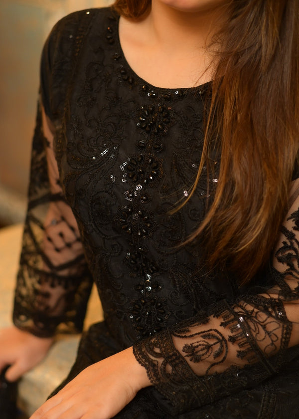 3 Piece Stitched Ladies Dress