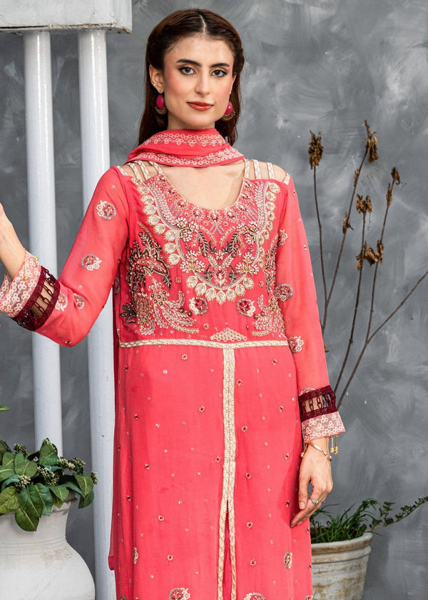 3 Piece Stitched Ladies Dress