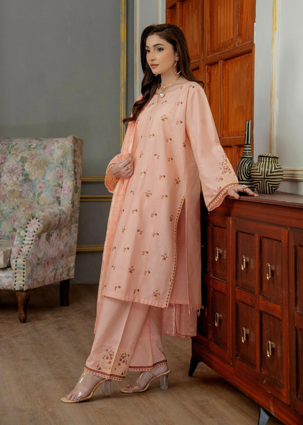 3 Piece Stitched Ladies Dress