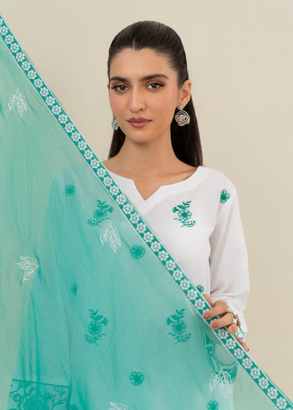 3 Piece Stitched Ladies Dress