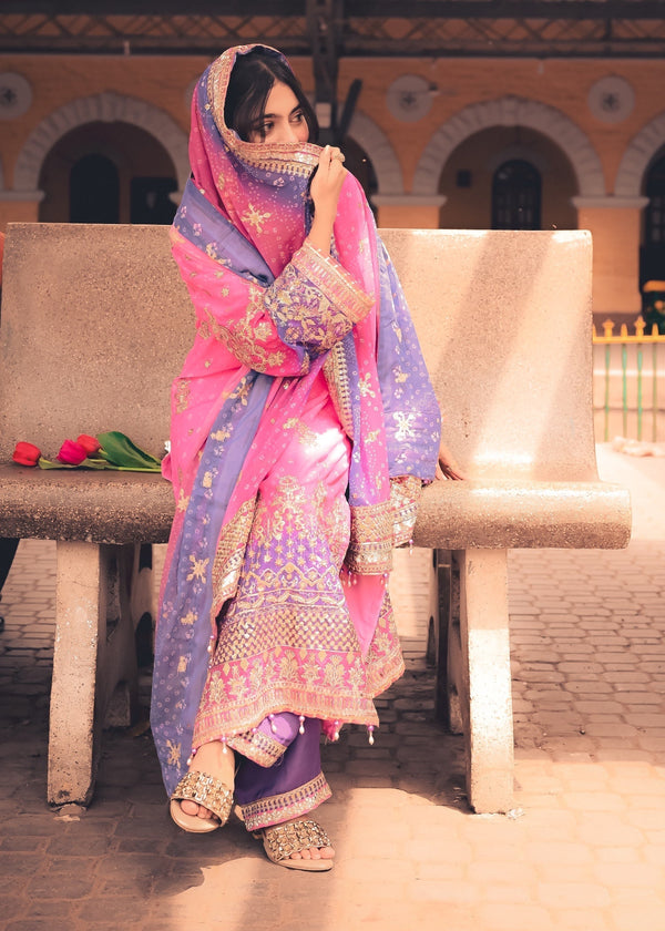 3 Piece Stitched Ladies Dress