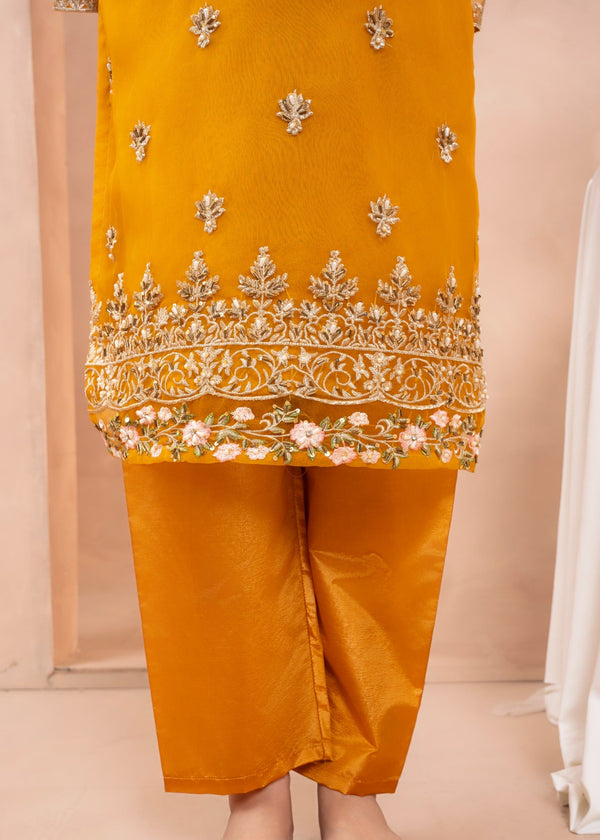3 Piece Stitched Ladies Dress
