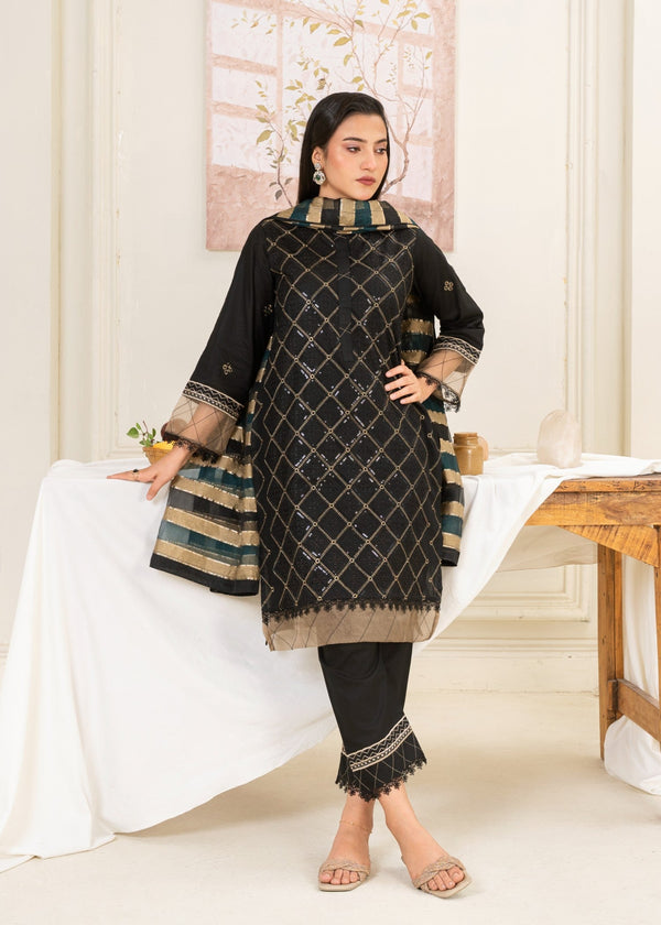3 Piece Stitched Ladies Dress
