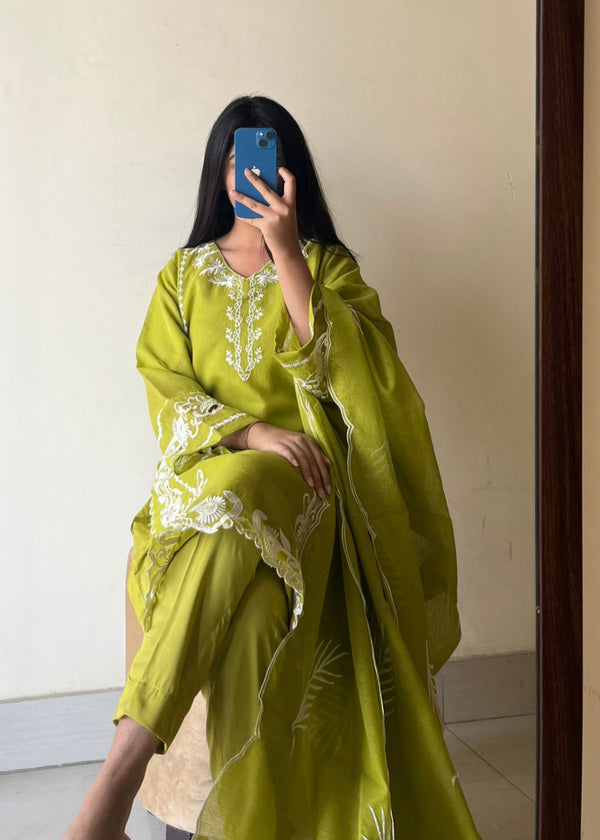 3 Piece Stitched Ladies Dress