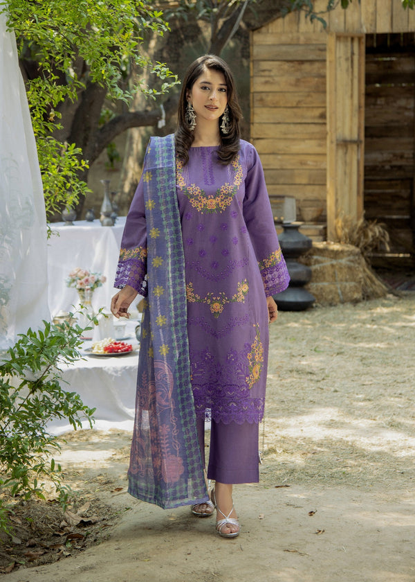 3 Piece Stitched Ladies Dress