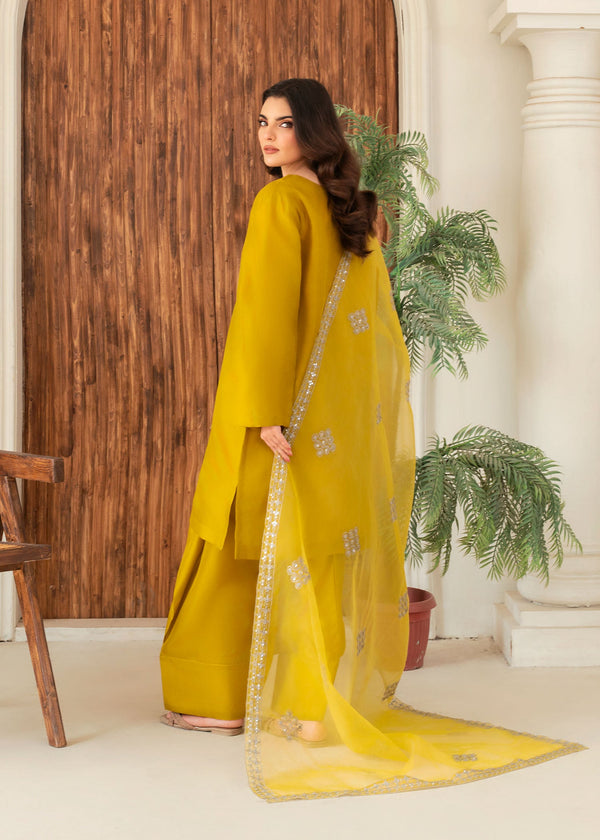 3 Piece Stitched Ladies Dress