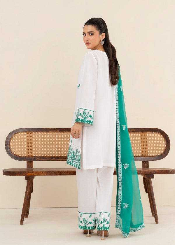 3 Piece Stitched Ladies Dress