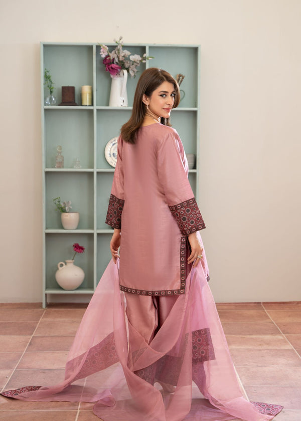 3 Piece Stitched Ladies Dress