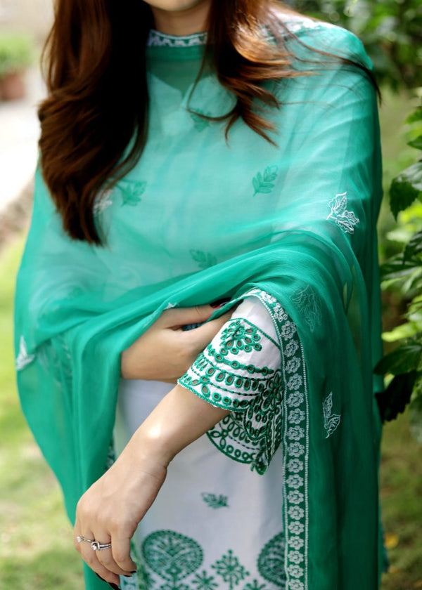 3 Piece Stitched Ladies Dress