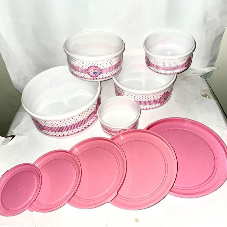Pack Of 5, Food Storage Box Container