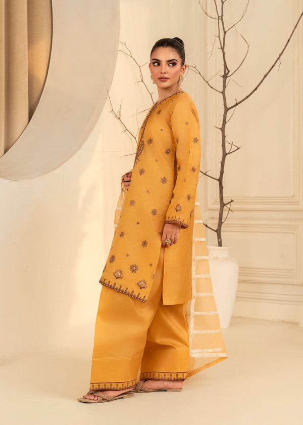 3 Piece Stitched Ladies Dress
