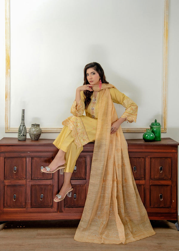 3 Piece Stitched Ladies Dress