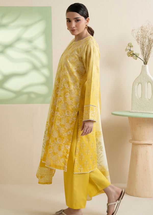 3 Piece Stitched Ladies Dress