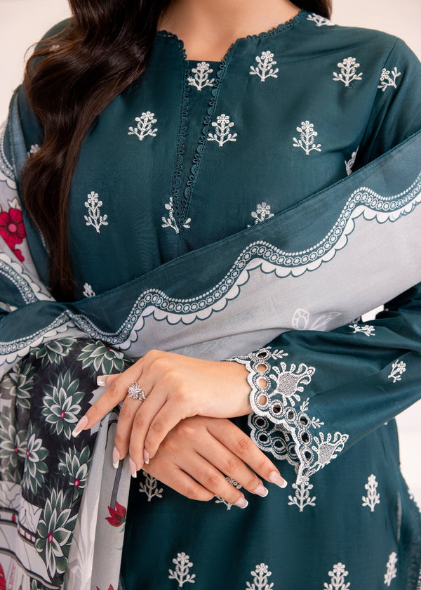3 Piece Stitched Ladies Dress