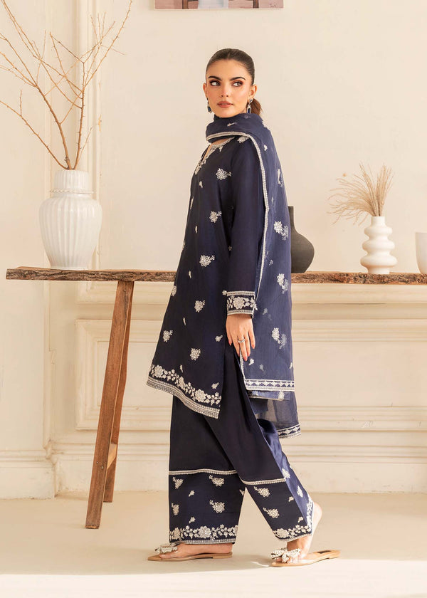 3 Piece Stitched Ladies Dress
