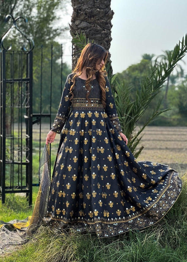 3 Piece Stitched Ladies Dress