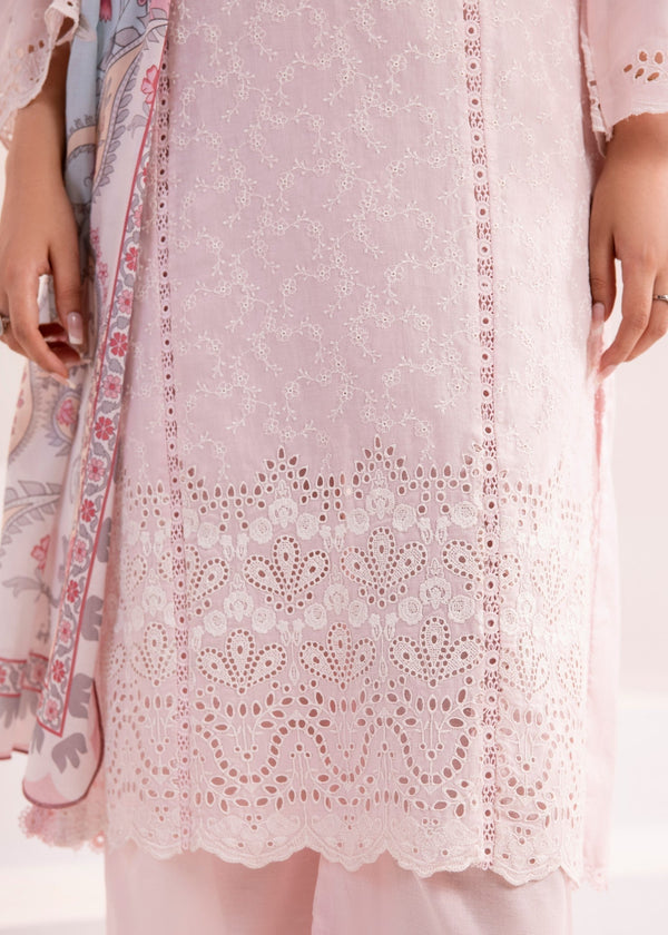 3 Piece Stitched Ladies Dress