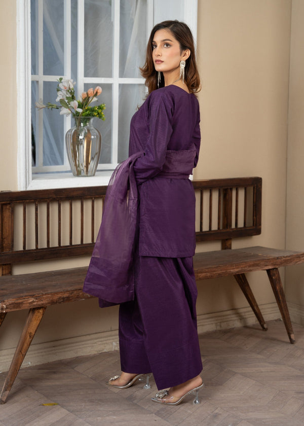 3 Piece Stitched Ladies Dress