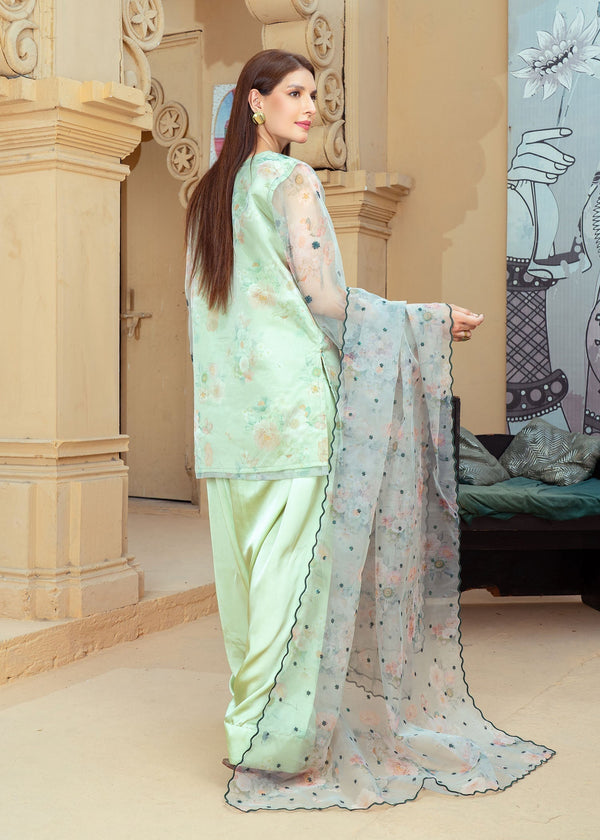 3 Piece Stitched Ladies Dress