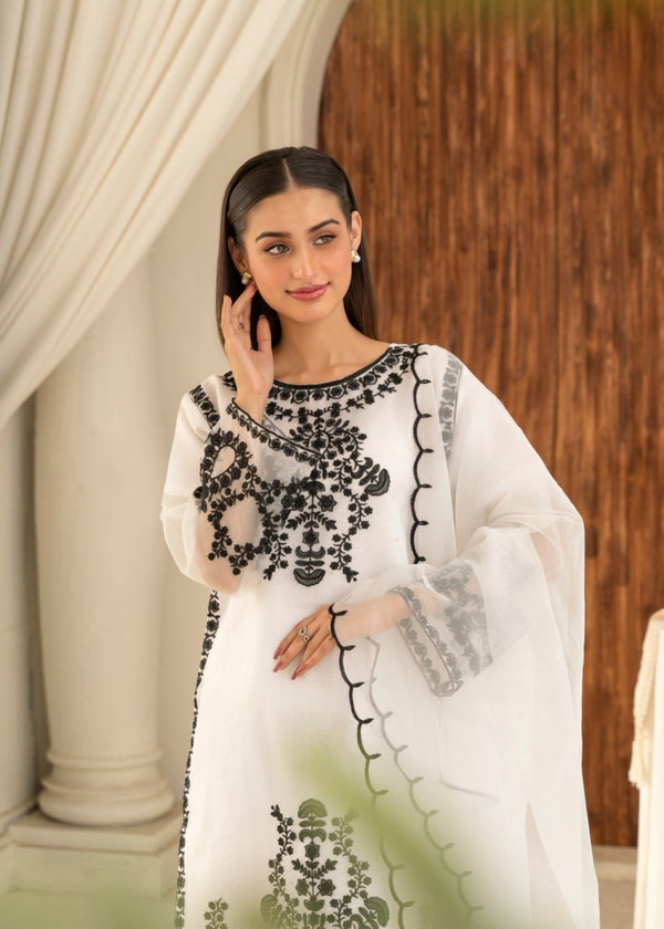 3 Piece Stitched Ladies Dress