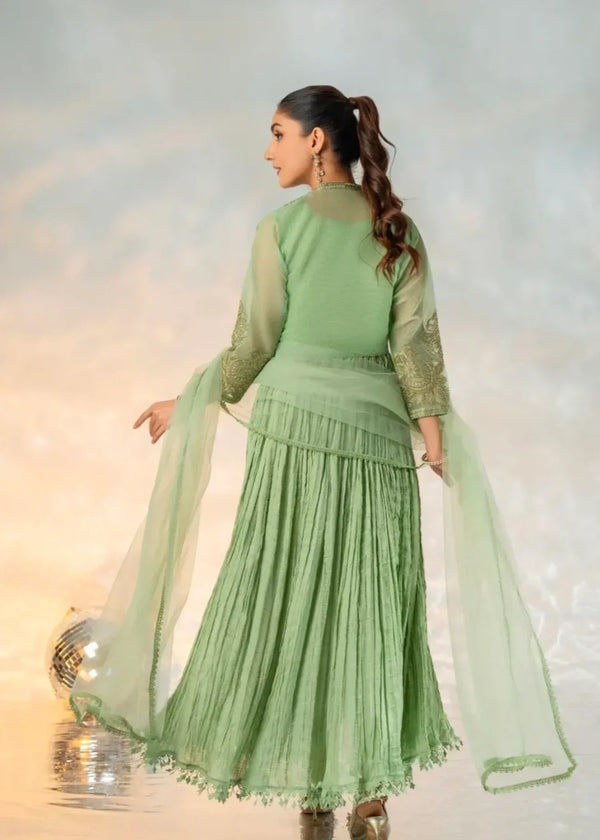 3 Piece Stitched Ladies Dress