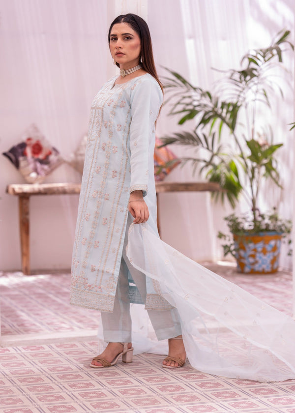 3 Piece Stitched Ladies Dress