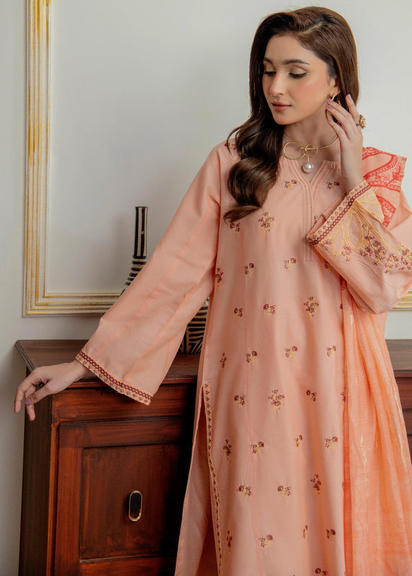3 Piece Stitched Ladies Dress