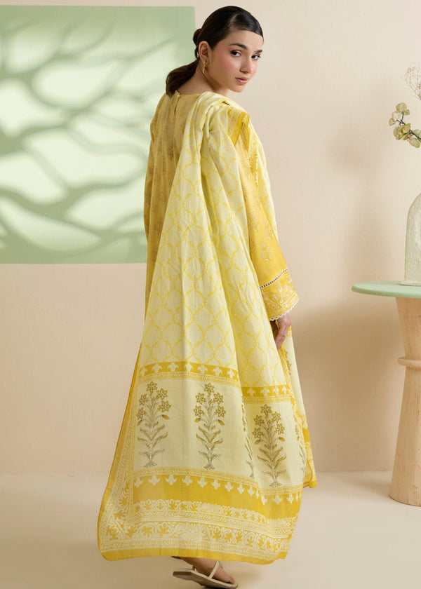 3 Piece Stitched Ladies Dress