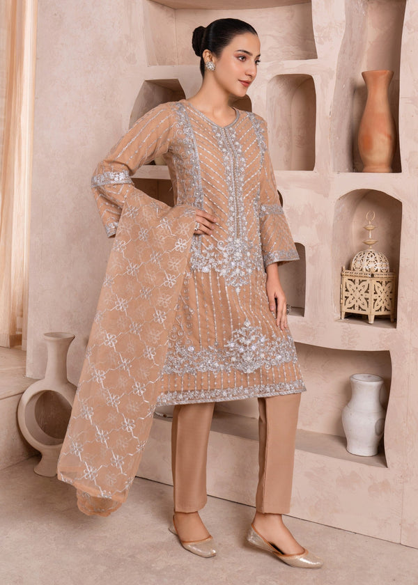 3 Piece Stitched Ladies Dress