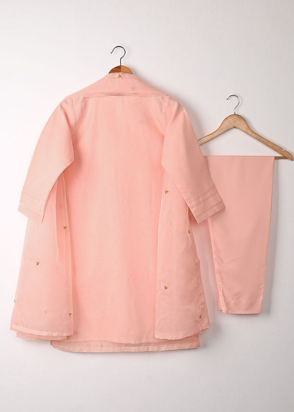 3 Piece Stitched Ladies Dress