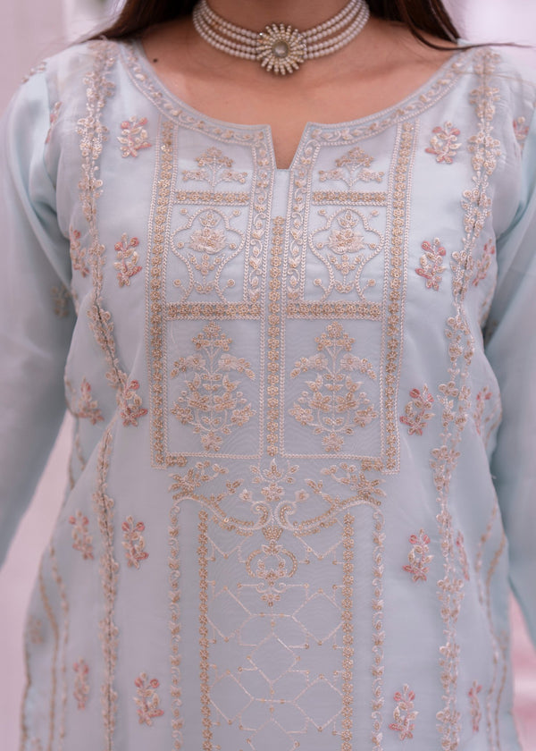 3 Piece Stitched Ladies Dress