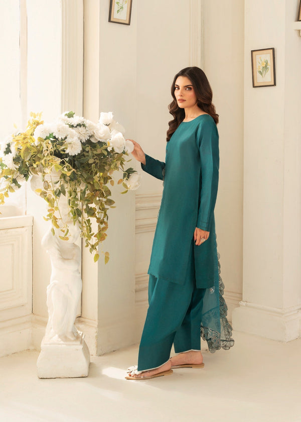 3 Piece Stitched Ladies Dress