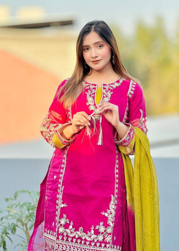 3 Piece Stitched Ladies Dress