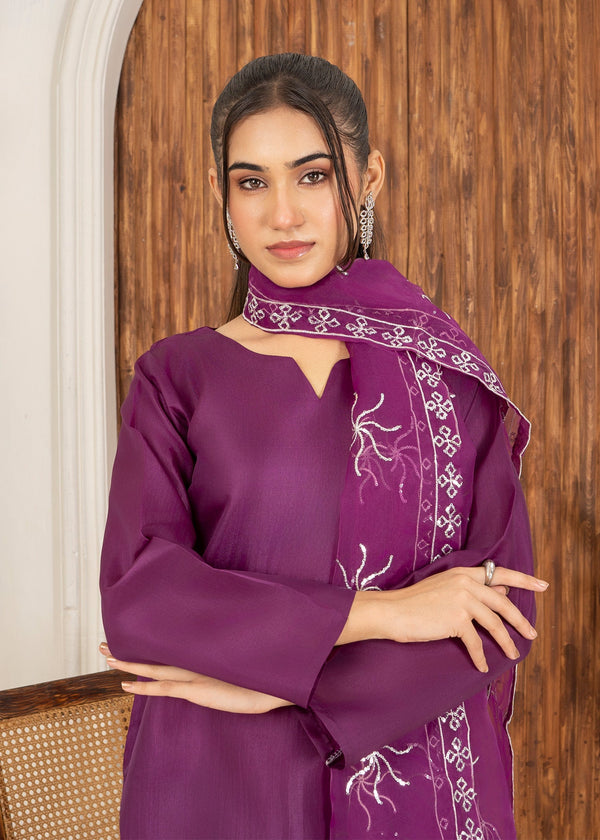 3 Piece Stitched Ladies Dress