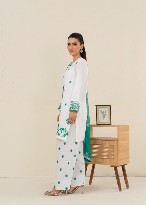 3 Piece Stitched Ladies Dress