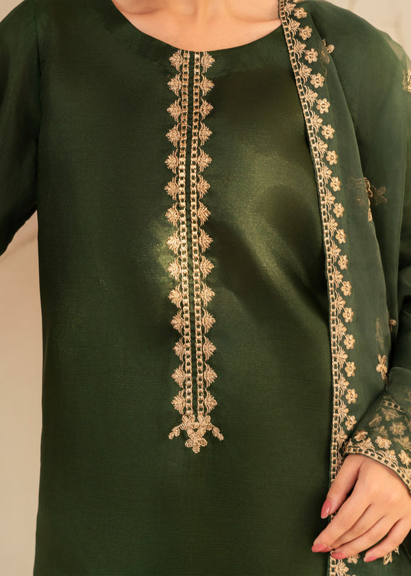 3 Piece Stitched Ladies Dress