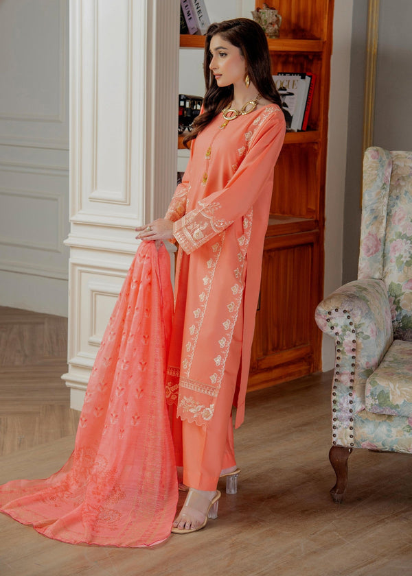 3 Piece Stitched Ladies Dress
