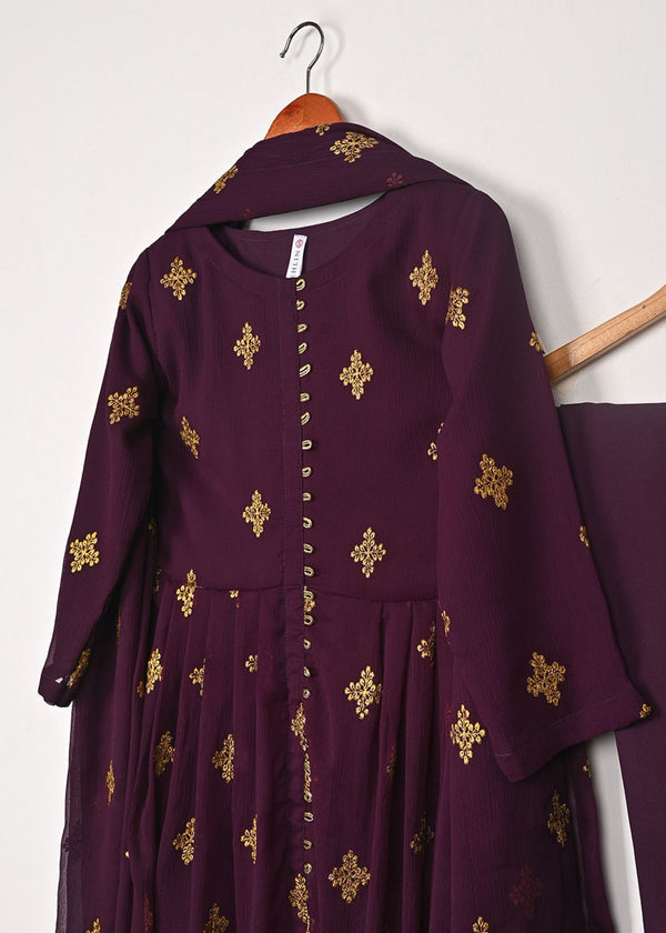3 Piece Stitched Ladies Dress