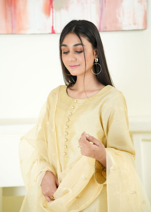 3 Piece Stitched Ladies Dress
