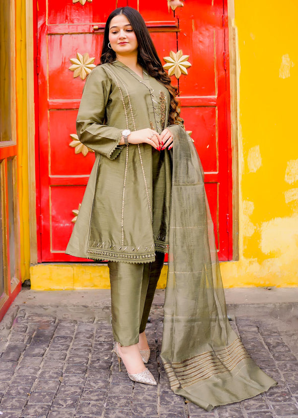 3 Piece Stitched Ladies Dress