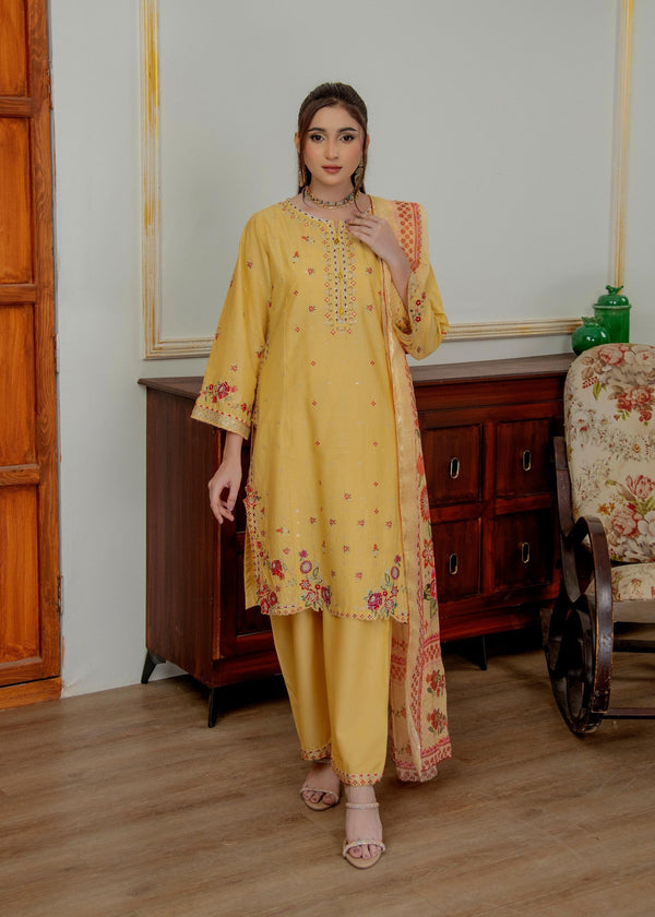 3 Piece Stitched Ladies Dress