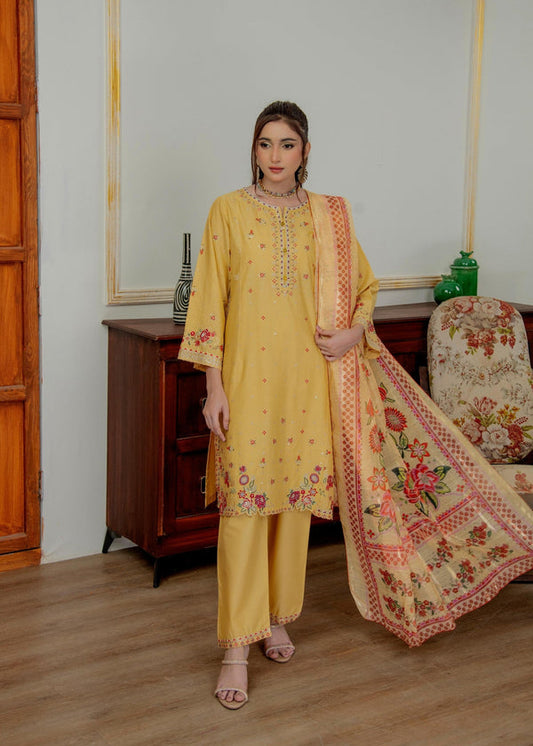 3 Piece Stitched Ladies Dress
