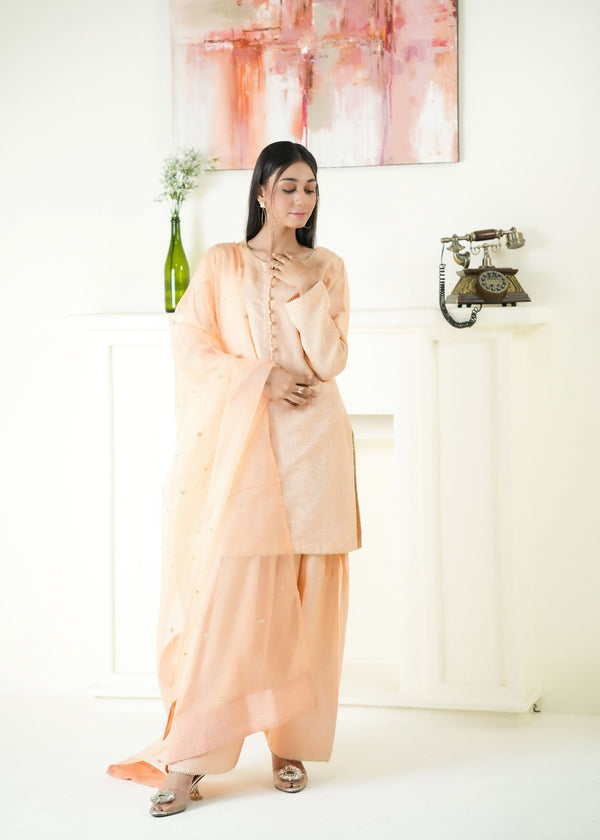 3 Piece Stitched Ladies Dress